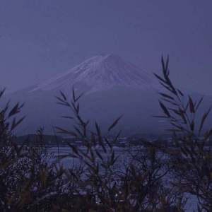 色妞www精品视频一级下载
